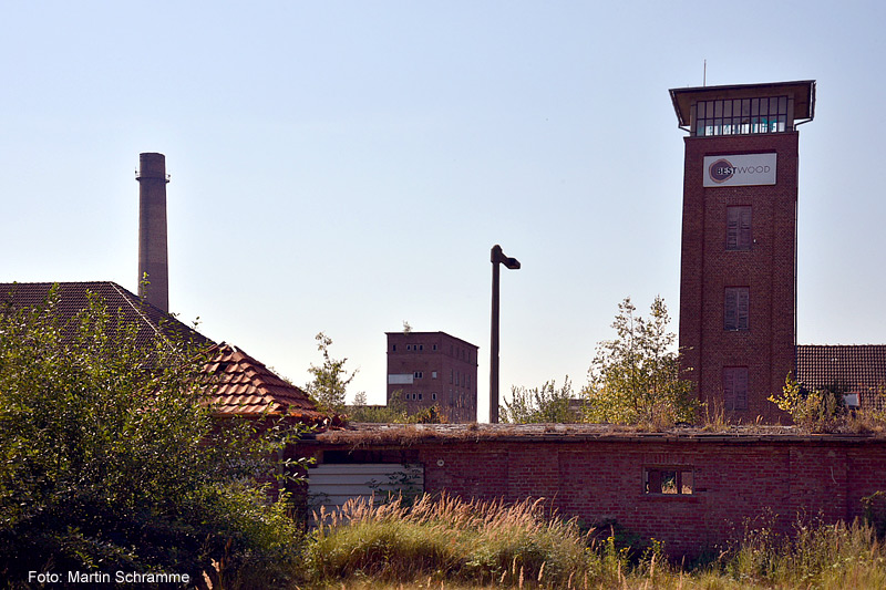 Bestwood, Foto: Martin Schramme, 2020